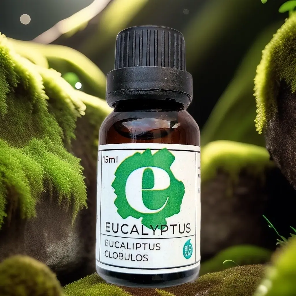 Eucalipto