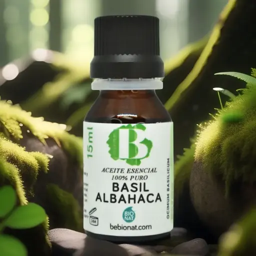 [AE 6892] AE Basil 