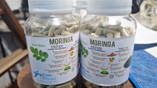 Bote Moringa 